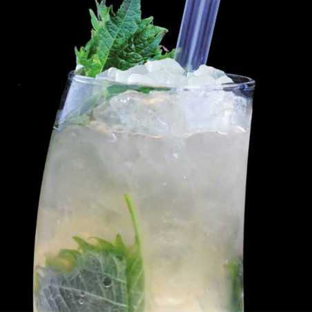 Nugget ice machine GRN310