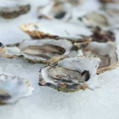 Machine à glace en copeaux GRF510