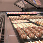Vitrine réfrigérée pâtisserie PARIS