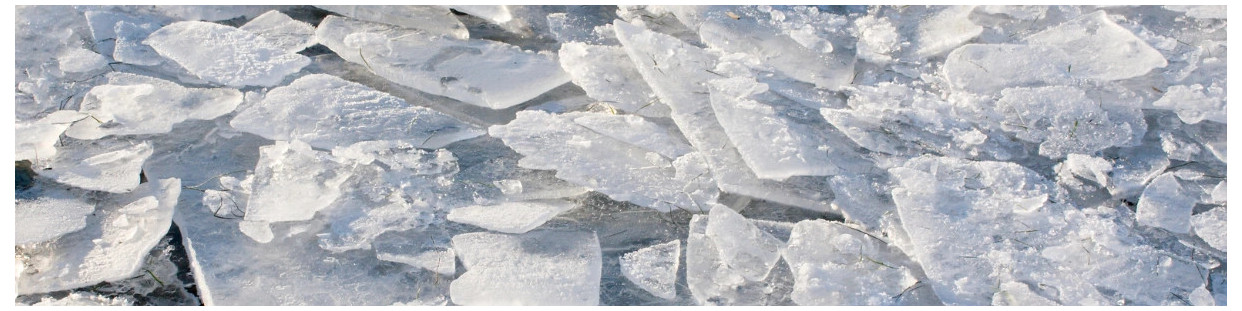 Máquinas de Hielo de Escamas