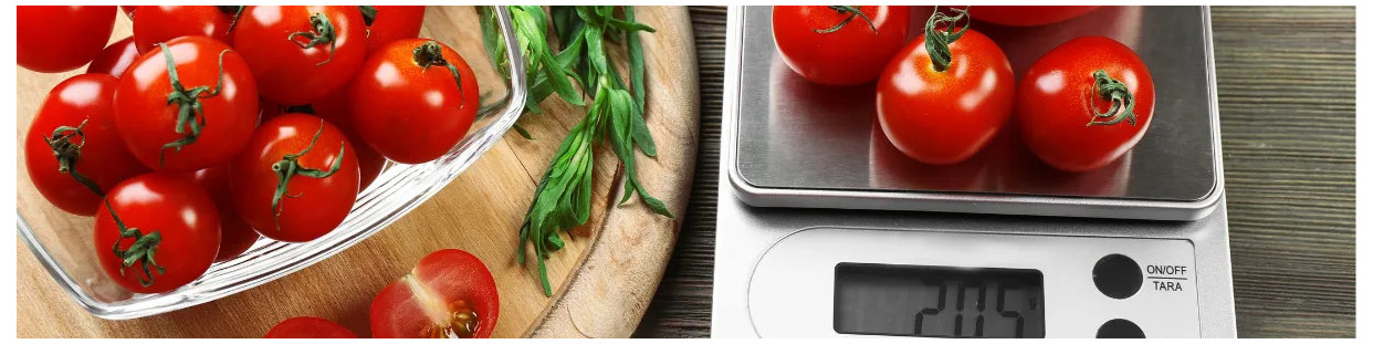 Balances industrielles professionnelles