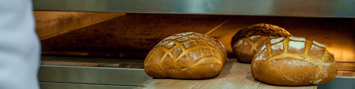 MBH - Fours Industriels : Convection, Pizza et Boulangerie