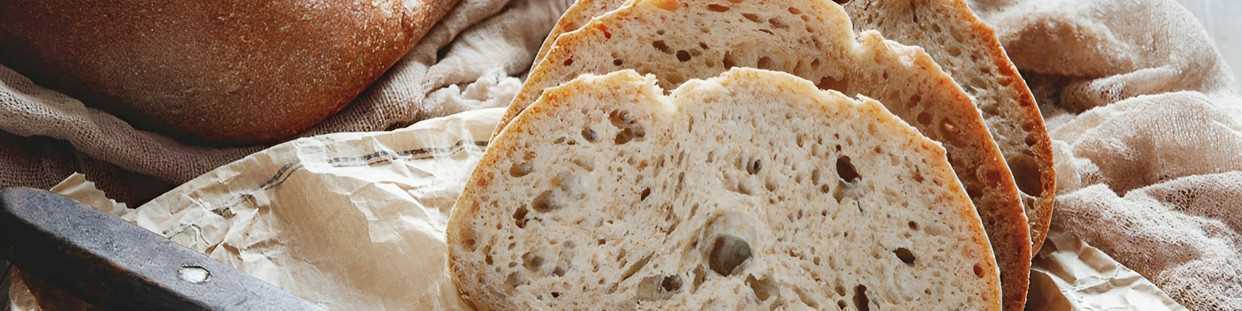 Etuves Professionnelles Fermentation